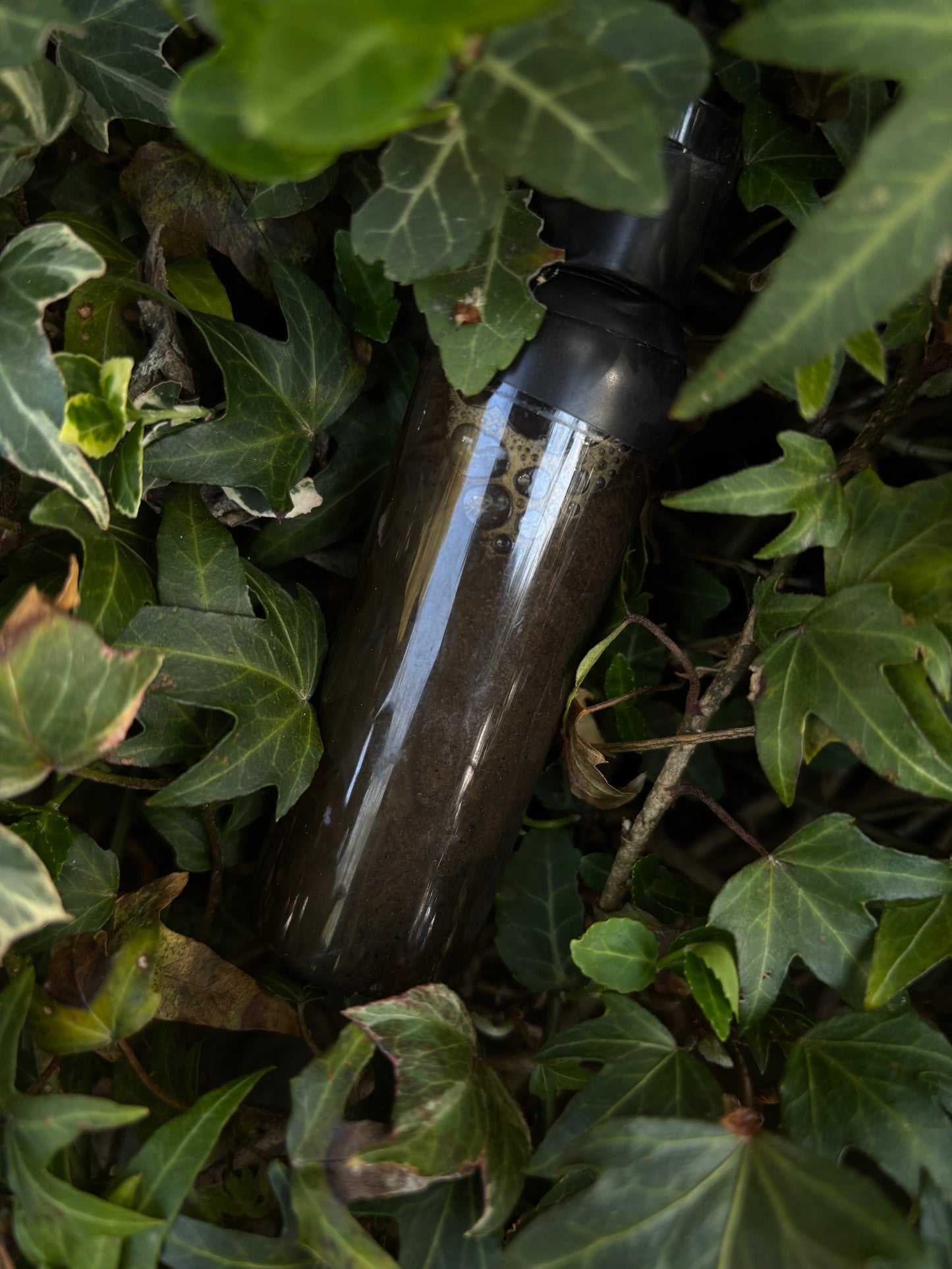 KEF's Rosehips African Cleanse Facial Cleanser 🫧