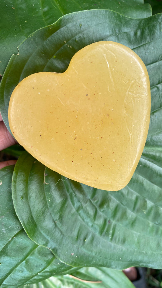 KEF's Turmeric & Nopales Facial Cleanser Soap π΅