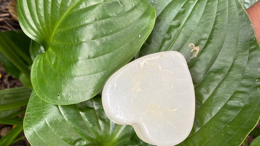 KEF's Seamoss & Lavender Facial Soap for Skin Repair πͺΈ