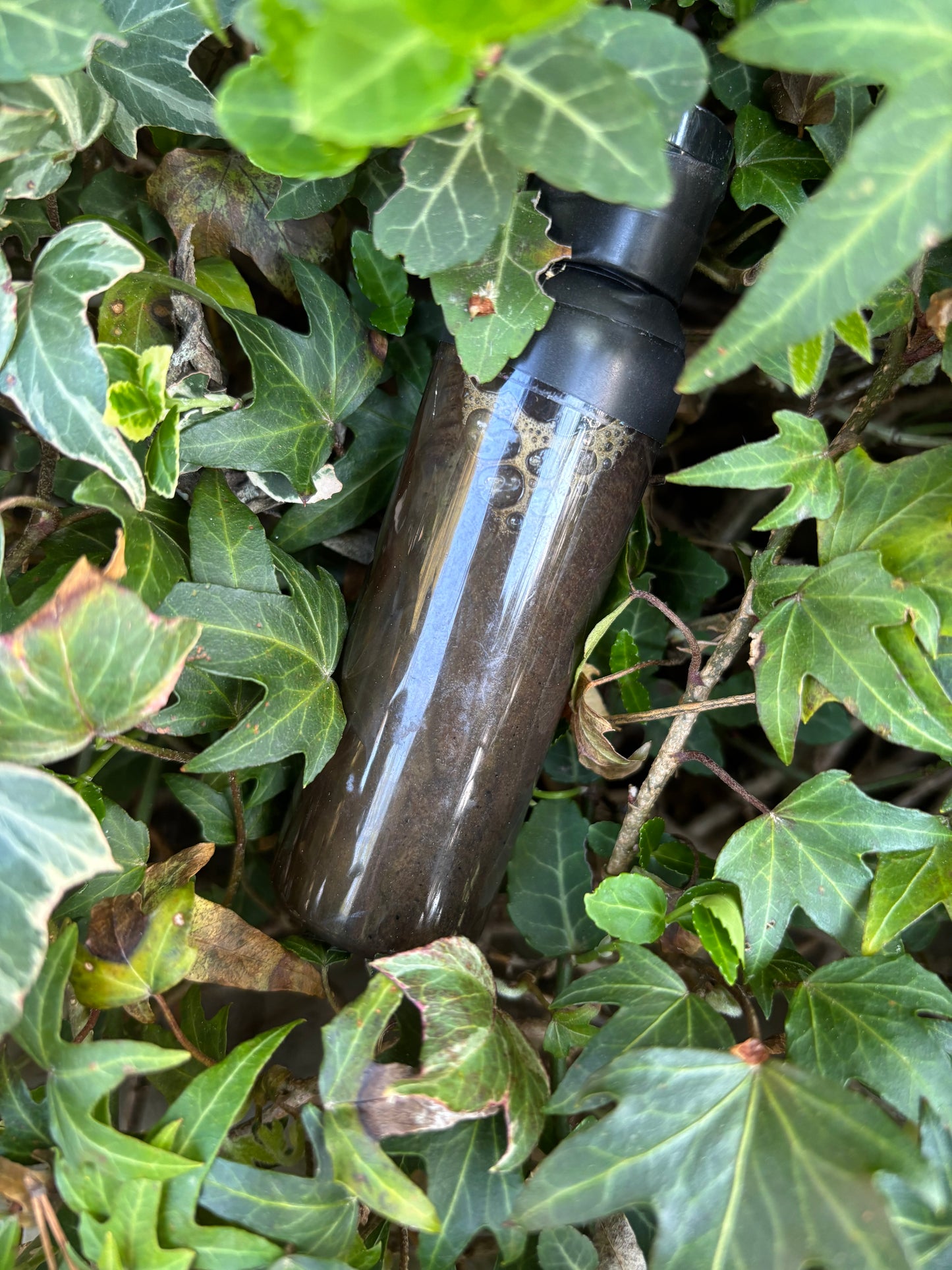 KEF's Rosehips African Cleanse Facial Cleanser 🫧