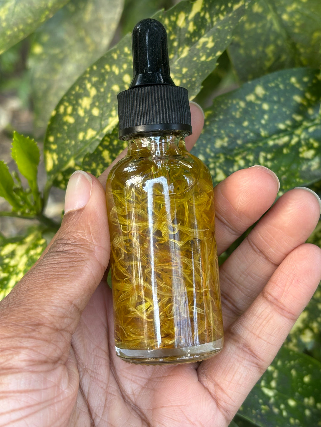 KEF's Calendula Acne-Oily Serum - Balancing Serum 🌼