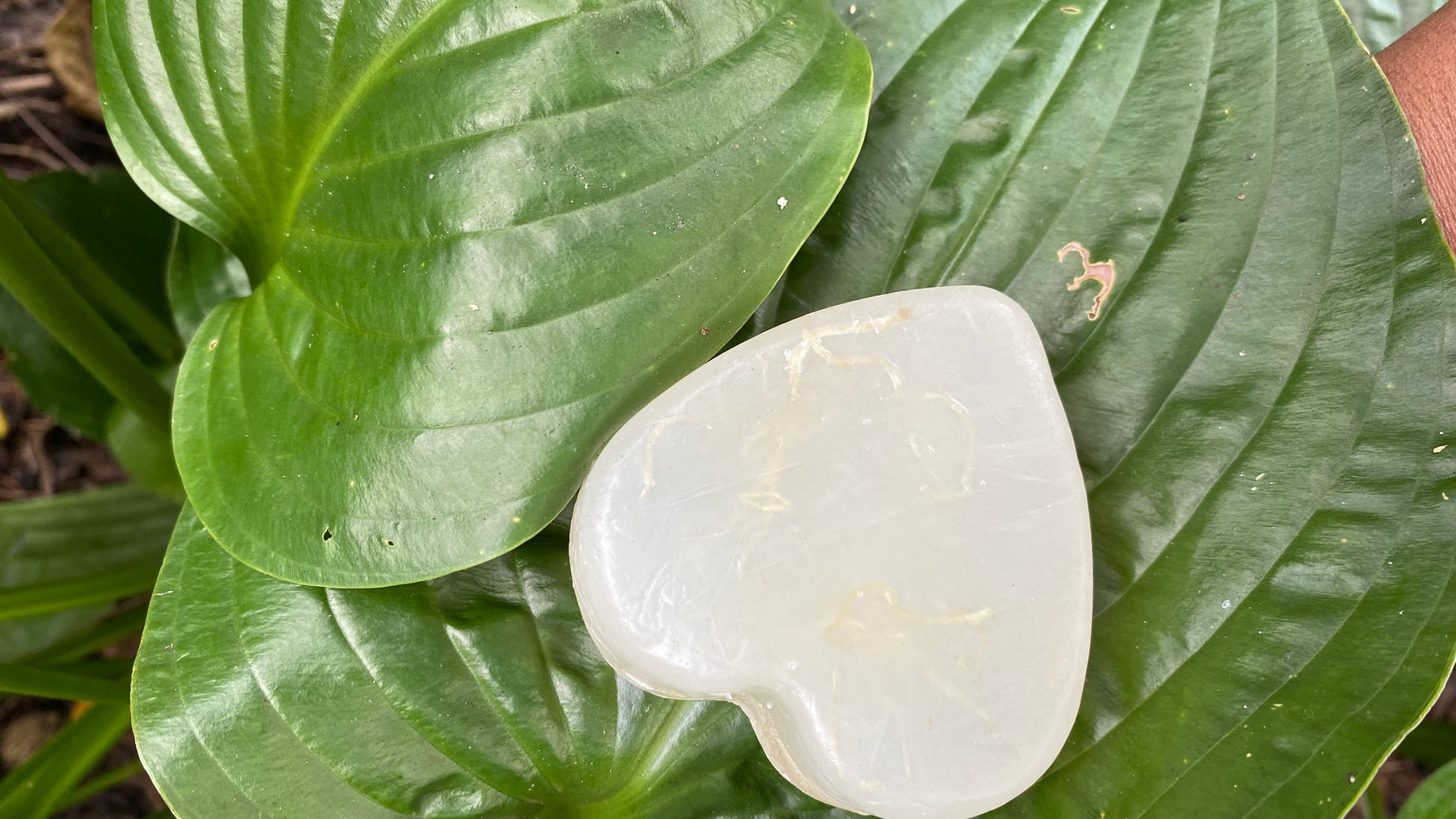 KEF's Seamoss & Lavender Facial Soap for Skin Repair