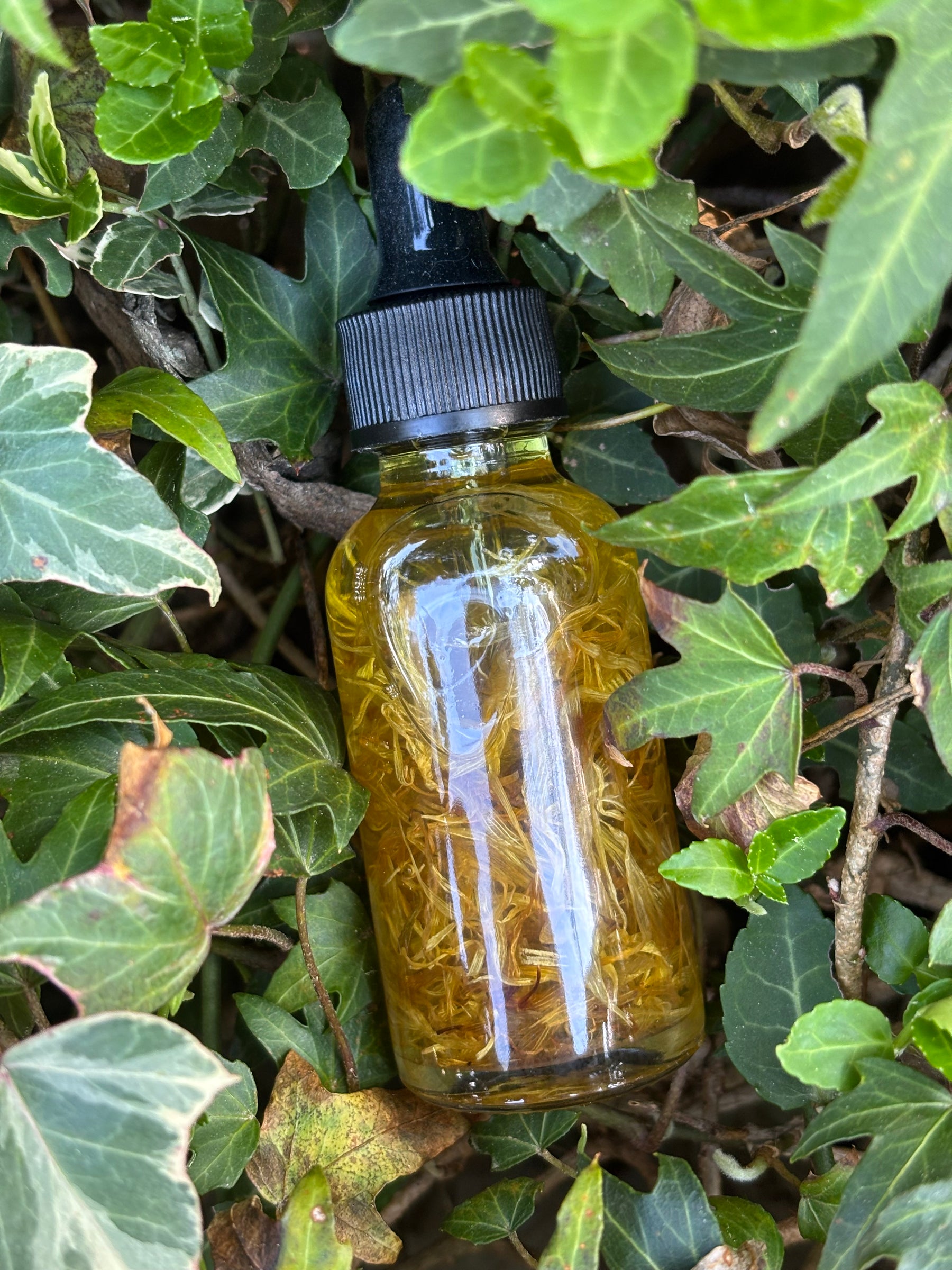 KEF's Calendula Acne-Oily Serum - Balancing Serum 🌼