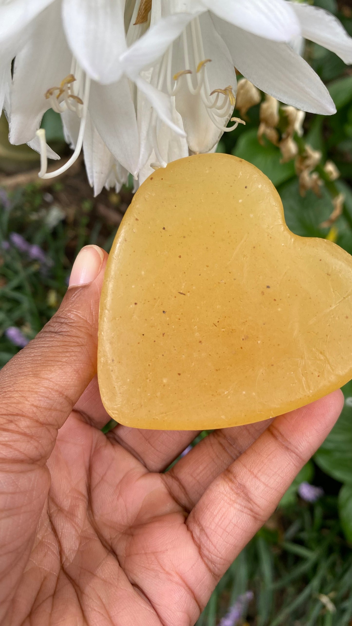KEF's Turmeric & Nopales Facial Cleanser Soap 🌵